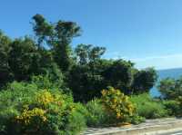 Visit the Pier at Rawai Beach