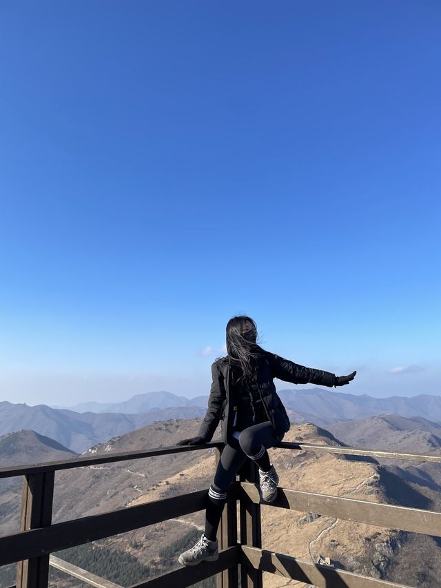 [울산]지금 완전 핫한 간월재 피크닉❣️