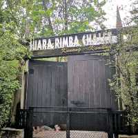 Suria Rimba Chalet 