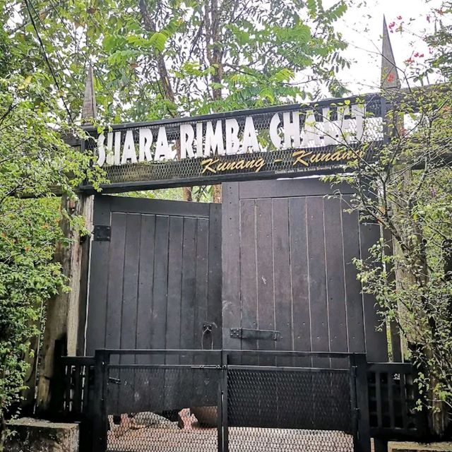 Suria Rimba Chalet 