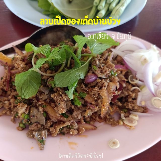 พาแม่กินลาบเป็ด ของเด็ดบ้านบัวพักเกวียน