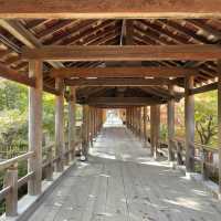 【京都府】通天橋から望む絶景の紅葉