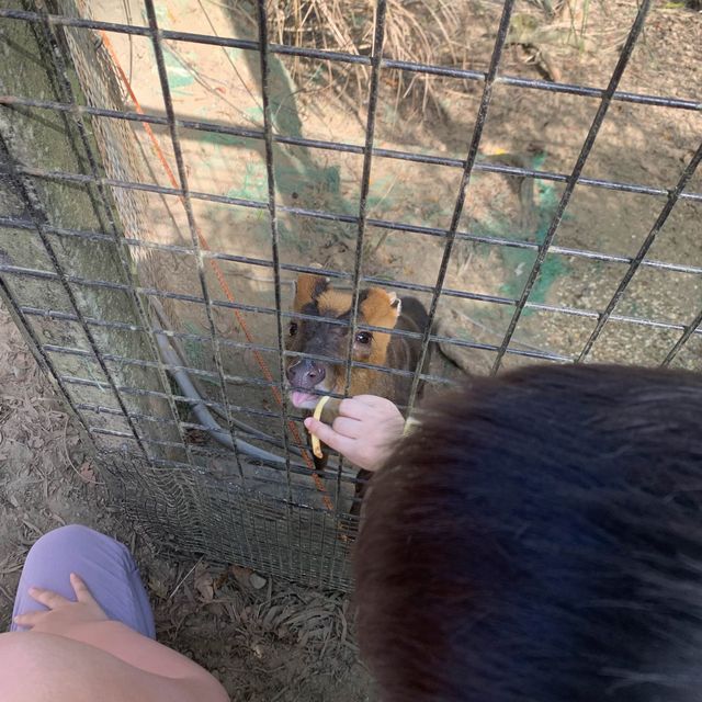 綠世界生態農場