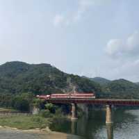 출렁이는 원주 소금산 출렁다리⛰️