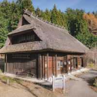 🗻SAIKO Iyashi no sato NENBA