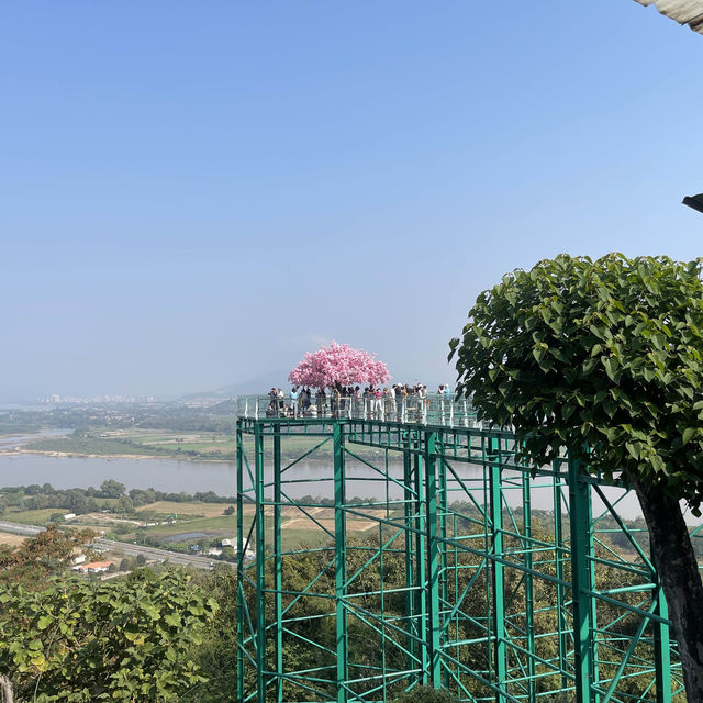 skywalk วัดพระธาตุผาเงา