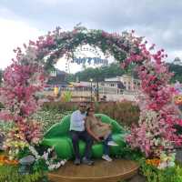 Most beautiful theme park: Everland💙