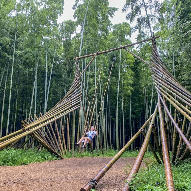 若竹の杜 若山農場 🎋