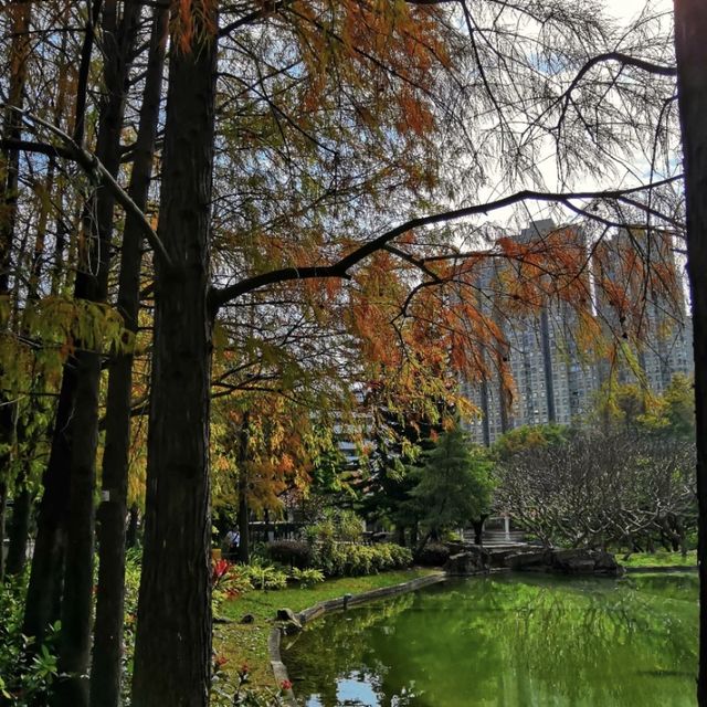 青衣公園