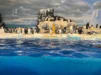 名古屋の水族館といえばココ🐠！【名古屋港水族館】