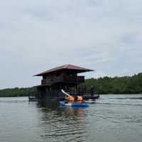 Kayak & exploring Bagan Lalang 