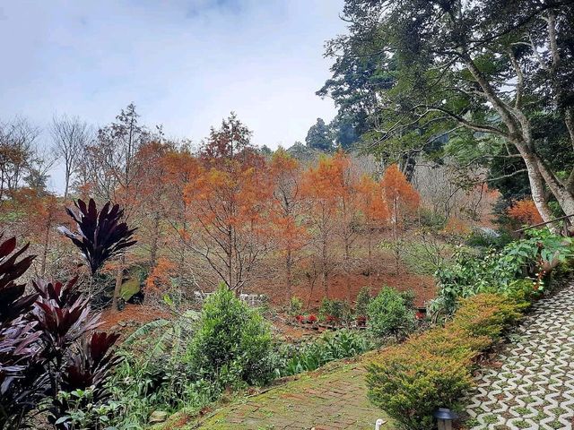 【桃園】景觀餐廳-悠然秘境小屋