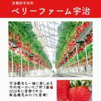 関西のいちご狩りスポットまとめ6選