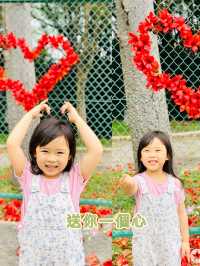 親子好去處