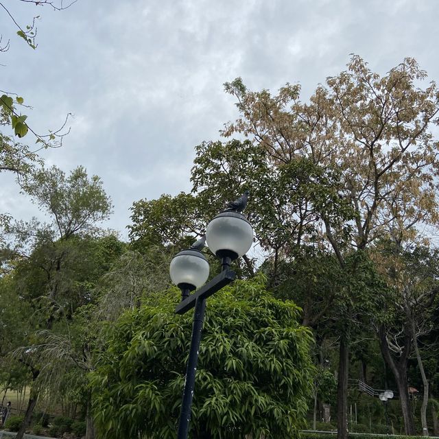 漫無目的半天小確幸 📍元朗