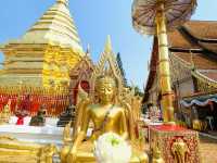 สักการะพระธาตุประจำปีเกิด(ปีมะแม) 