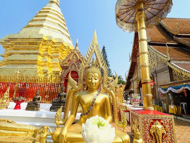 สักการะพระธาตุประจำปีเกิด(ปีมะแม) 