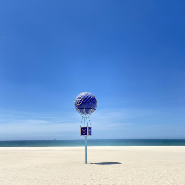 마토지뉴스 해변🏖 