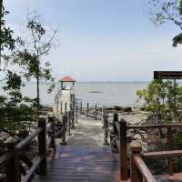 Tanjung Piai National Park