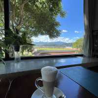Nice Place to hang out with a coffee
