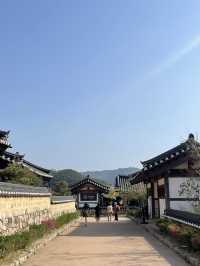 푸른 잔디밭과 "대릉원" 경주 여행