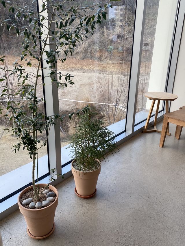 따뜻함이 가득한 공간, 부산 카페 공지 🌾