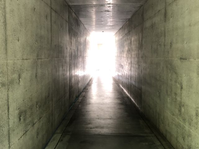 【香川県】地中美術館でアートに触れる旅