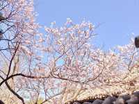 Spring in Tianjin