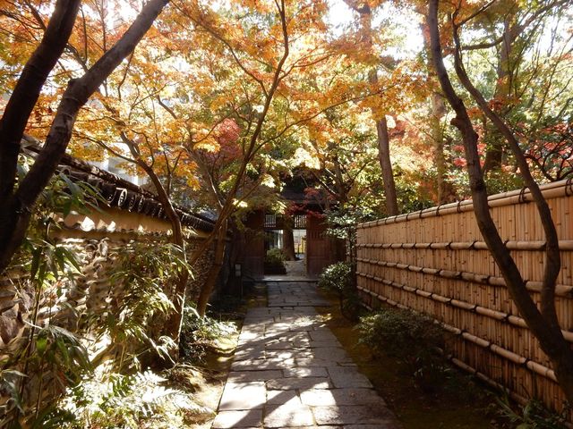 【福岡】博多駅から歩いて行ける日本庭園
