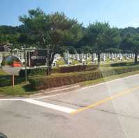 A Visit to Daejon National Cemetery Korea