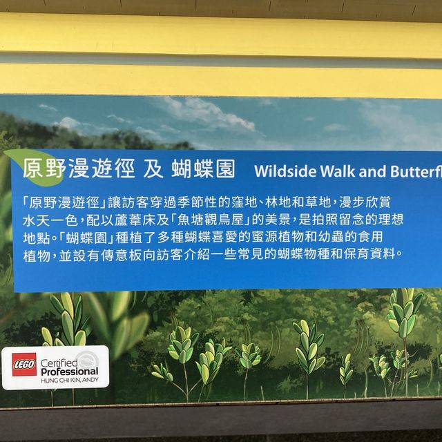 濕地公園LEGO微縮場景展覽