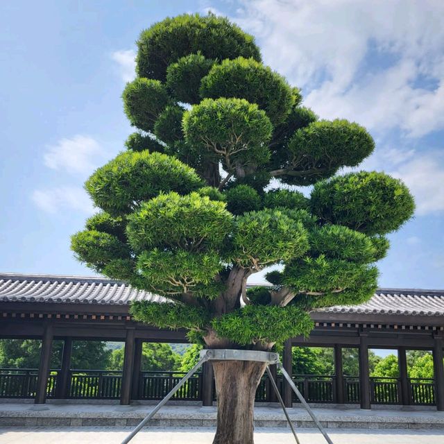 弘揚佛法 功德無量