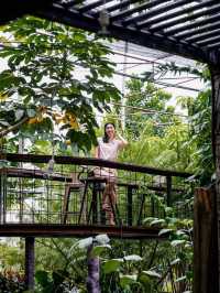 🌵Botanist Activity Space & Cafe