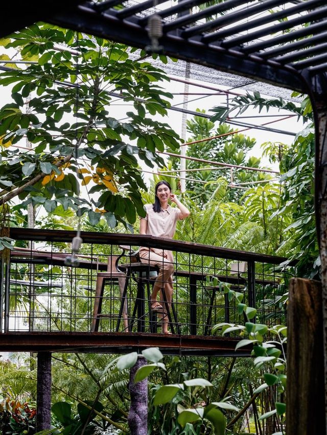 🌵Botanist Activity Space & Cafe
