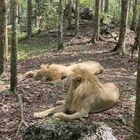 Live a Life with Wildlife