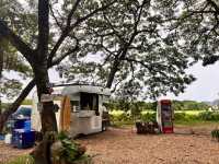323 Camp & Slow bar cafe