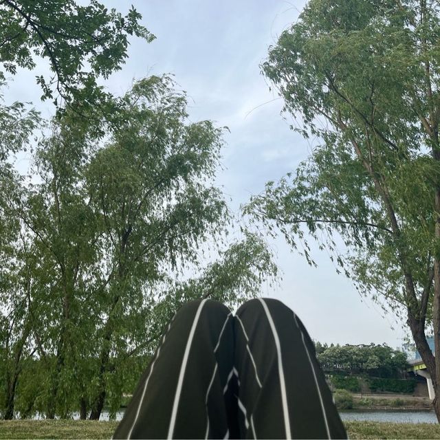 피크닉 하기 좋은 한강