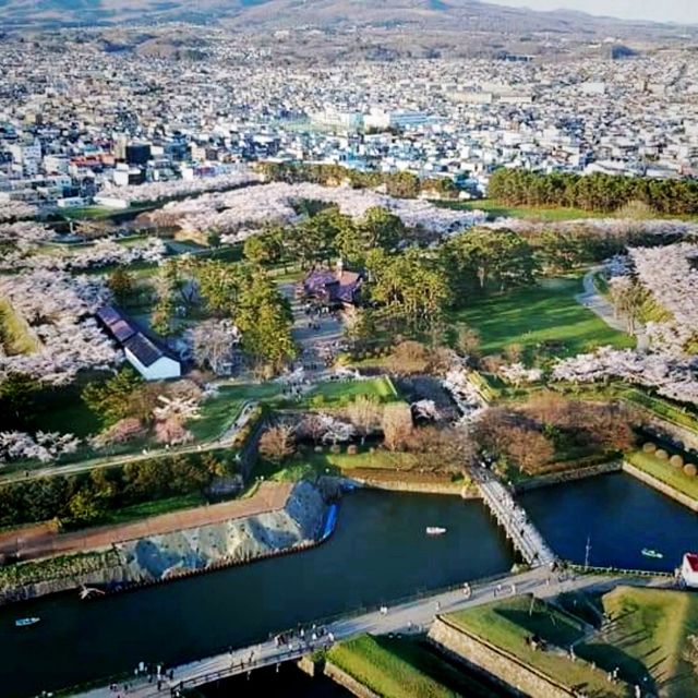 The View From Above, Goryokaku Tower
