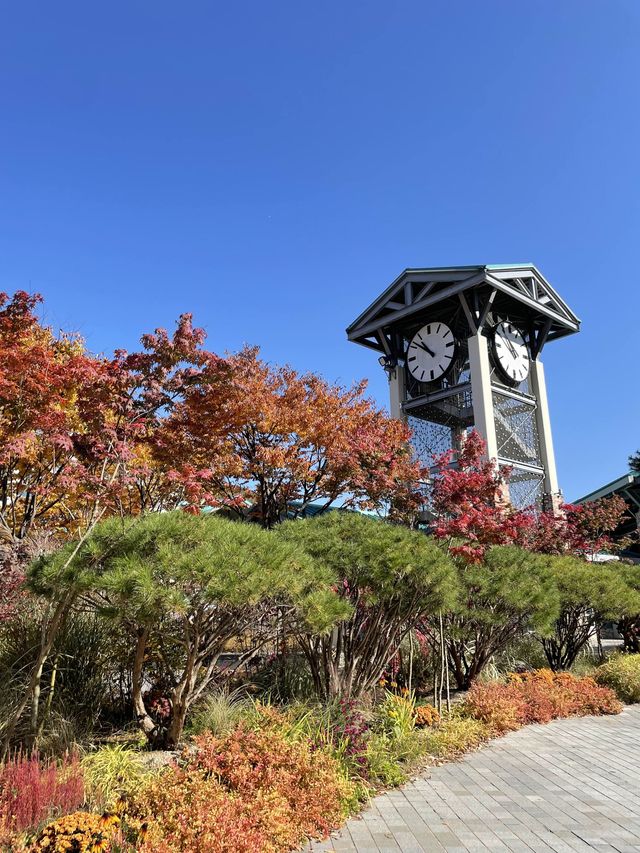 곤지암 단풍여행 :: 화담숲🍁