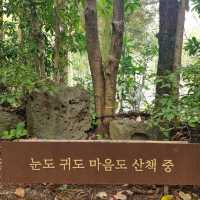 제주핫플레이스를 가다