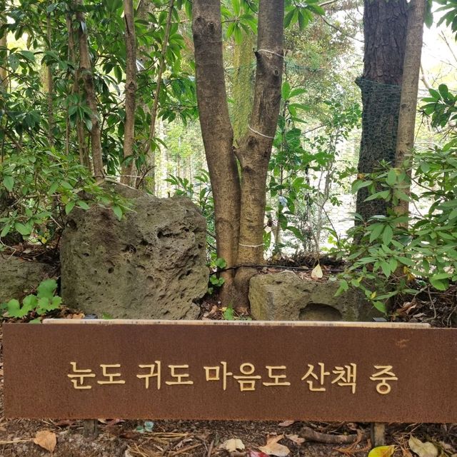 제주핫플레이스를 가다