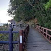 鬼ヶ島は実在した？！世界遺産の「鬼ヶ城」へ行ってみた👹