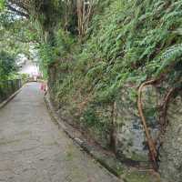 首里金城石畳道「真珠道」