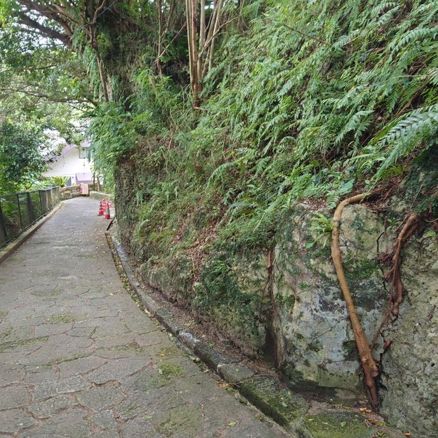 首里金城石畳道「真珠道」