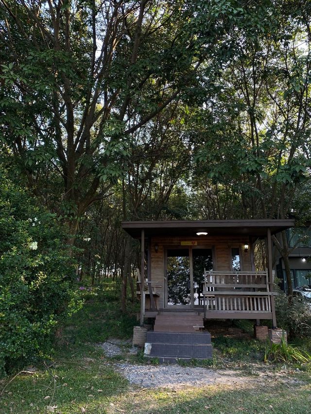 ภูผาหมอก@byขุนแวะ 🏕️🏕️ 