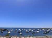 Rottnest Island! Parakeet Bay! 📸😎