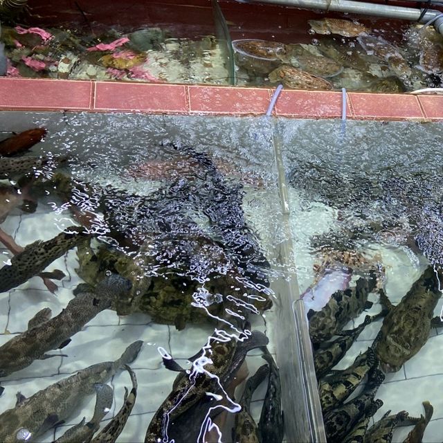 清水灣 , 布袋澳 , 海鮮 + 啤酒 , 痛風 , 美食大餐 ！