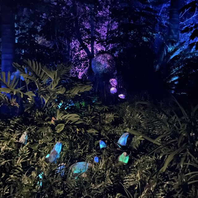 Nighttime at Animal Kingdom 