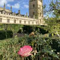 rose garden Oxford