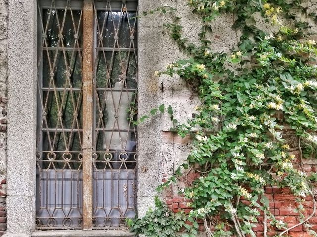 Exploring the Botanical Gardens of Brera in Milan 🌿